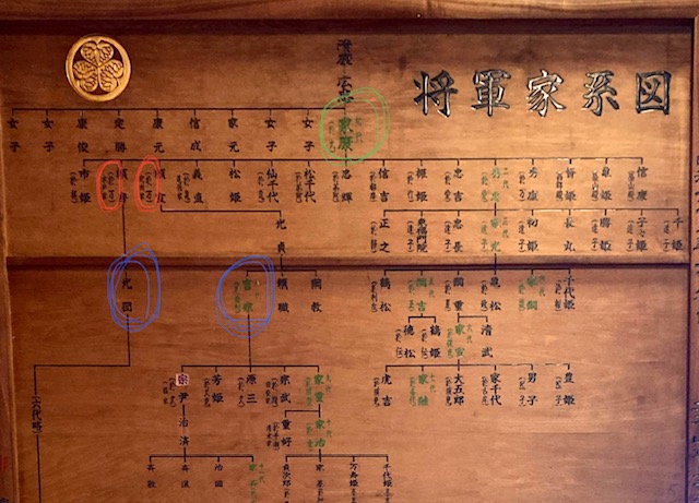 徳川将軍家系図